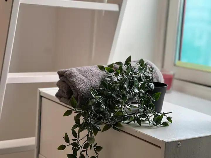 Cozy Room With Smart Solutions Grunerlokka Central Happy Days أوسلو المظهر الخارجي الصورة